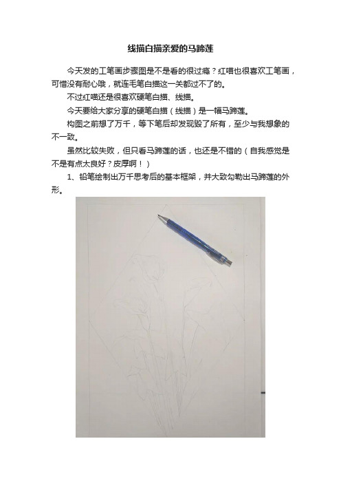 线描白描亲爱的马蹄莲