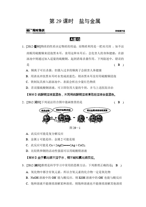 29课时 盐与金属