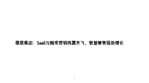 微盟集团市场策略：SaaS与精准营销带动智慧零售增长(2021年)