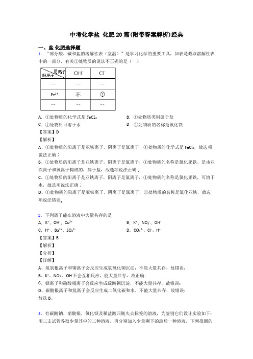 中考化学盐 化肥20篇(附带答案解析)经典