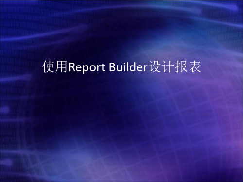 05 使用Report Builder设计报表