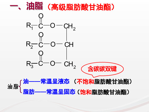 高中化学-糖类、油脂、蛋白质