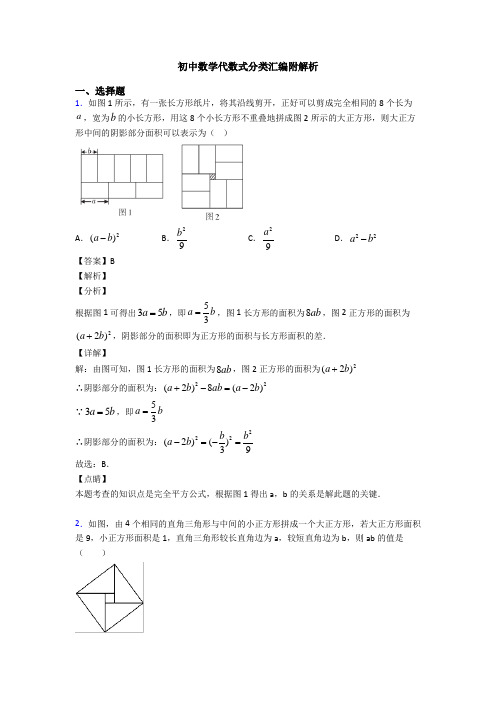 初中数学代数式分类汇编附解析