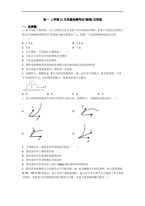 高一 上学期11月质量检测考试(物理)及答案