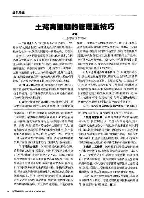 土鸡育雏期的管理重技巧