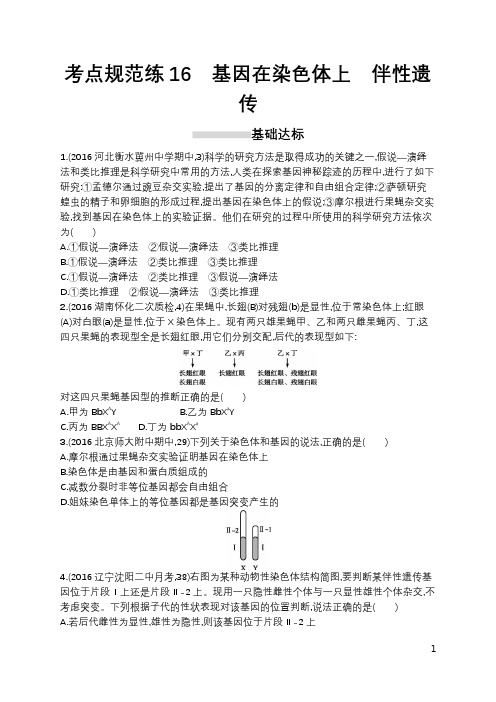 高考生物一轮复习-考点规范练16-基因在染色体上 伴性遗传(含答案)