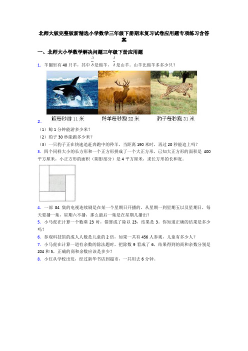 北师大版完整版新精选小学数学三年级下册期末复习试卷应用题专项练习含答案