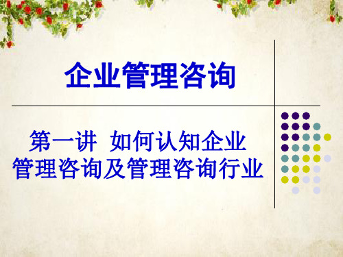 企业管理咨询培训课件(PPT 67页)