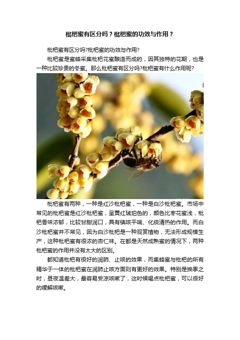 枇杷蜜有区分吗？枇杷蜜的功效与作用？