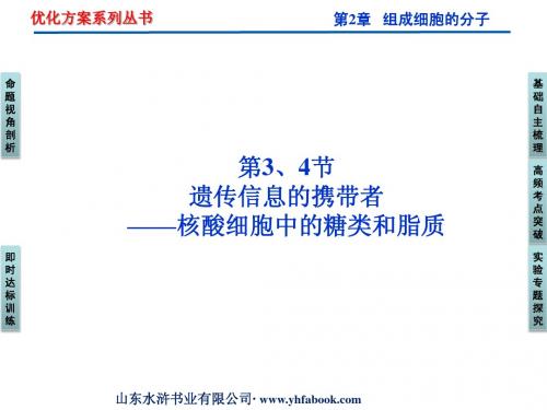 2012优化方案高三生物一轮复习课件：必修1第2章第3、4节