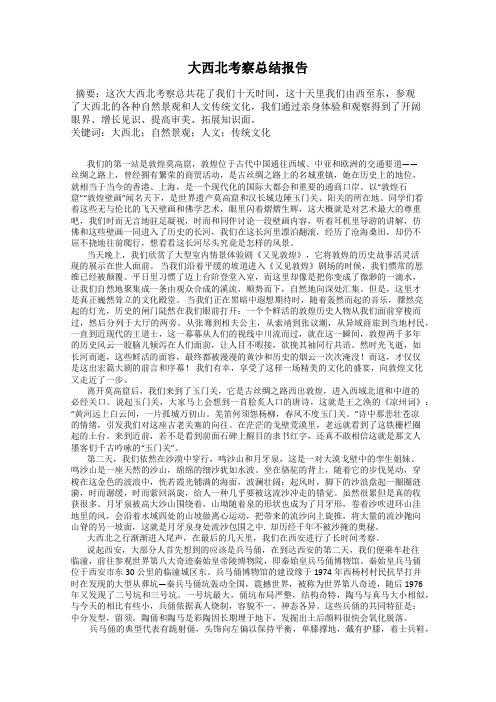 大西北考察总结报告