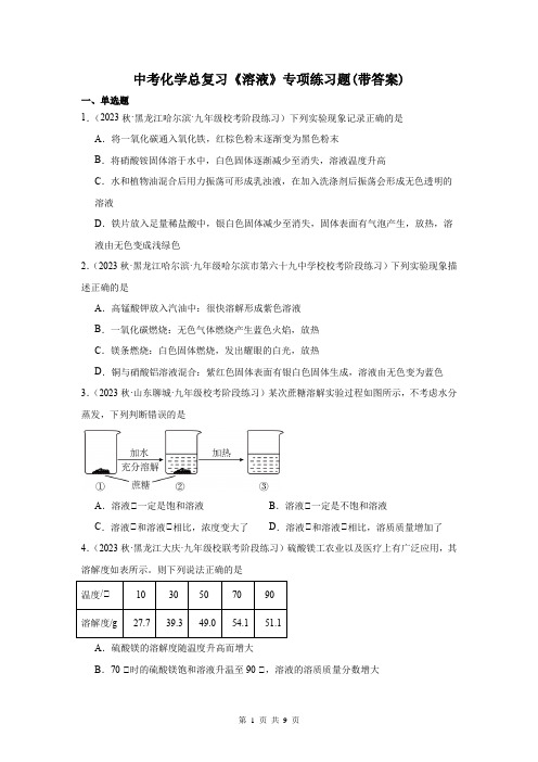 中考化学总复习《溶液》专项练习题(带答案)