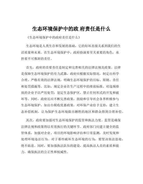 生态环境保护中的政 府责任是什么