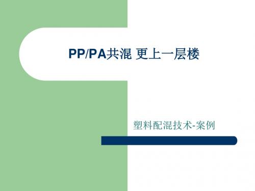 PPPA共混 更上一层楼.