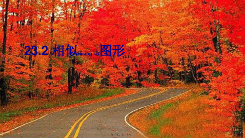 九年级数学上册 第23章 图形的相似23.2 相似图形上课课件