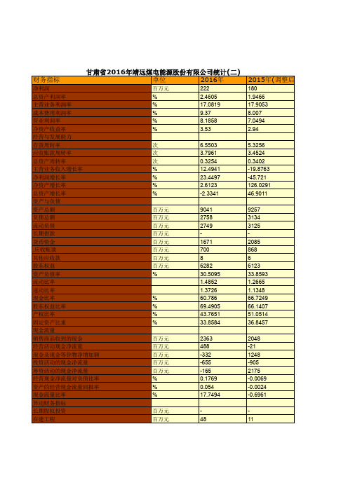 甘肃省2016年靖远煤电能源股份有限公司统计(二)