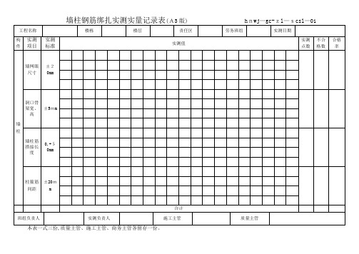 实测实量记录表格式