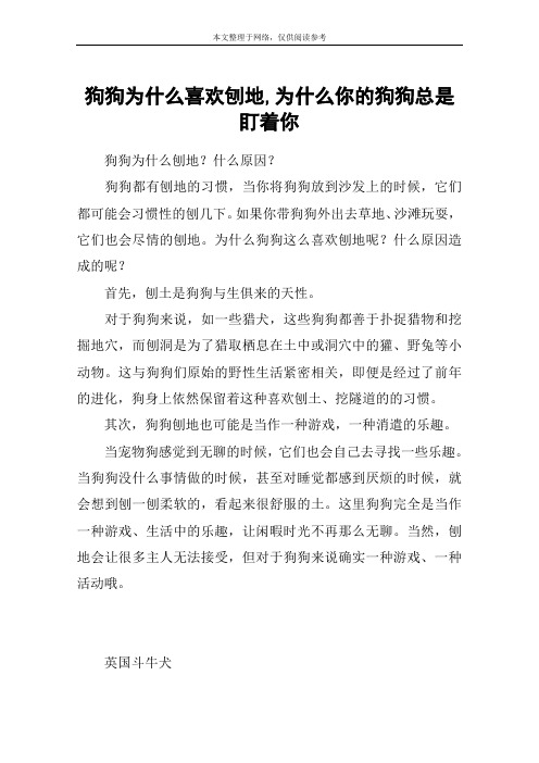 狗狗为什么喜欢刨地,为什么你的狗狗总是盯着你