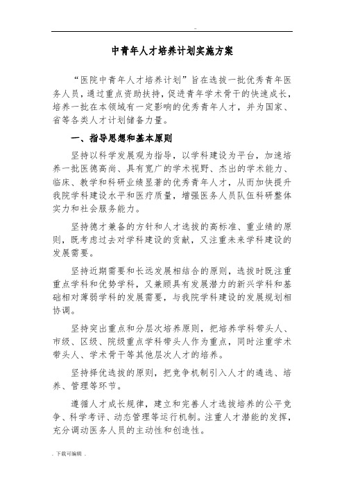 优秀青年人才培养计划清单实施计划清单方案设计