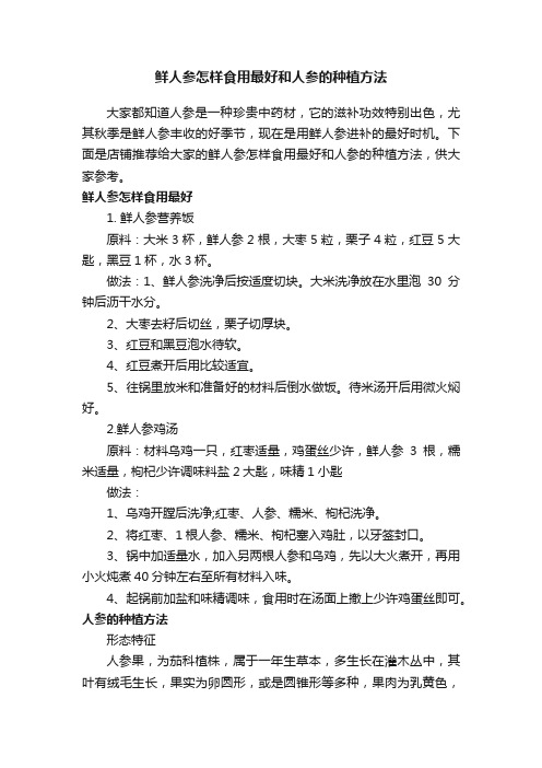 鲜人参怎样食用最好和人参的种植方法