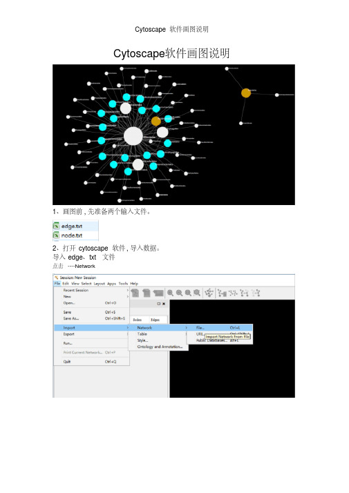 cytoscape软件画图说明