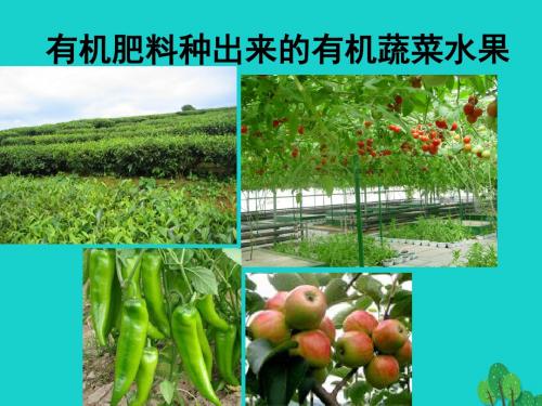 八年级生物上册第三单元第二章第三节无机盐与植物的生长解读