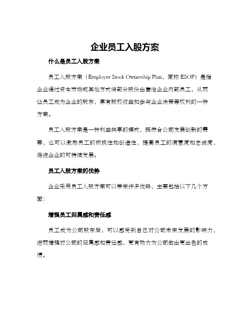 企业员工入股方案