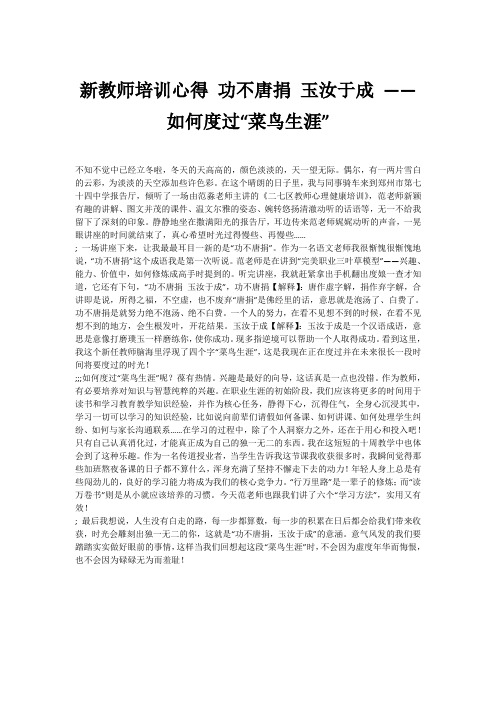 新教师培训心得 功不唐捐 玉汝于成 ——如何度过“菜鸟生涯”