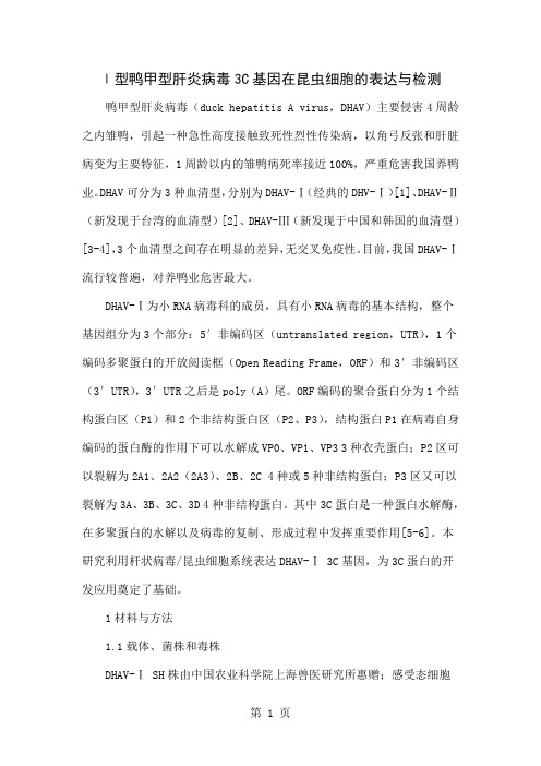 Ⅰ型鸭甲型肝炎病毒3C基因在昆虫细胞的表达与检测精品文档5页