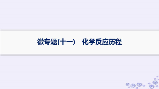 高考化学一轮第7章化学反应速率与化学平衡微专题十一化学反应历程新人教版