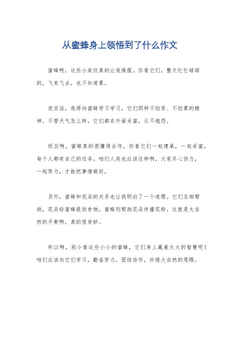 从蜜蜂身上领悟到了什么作文