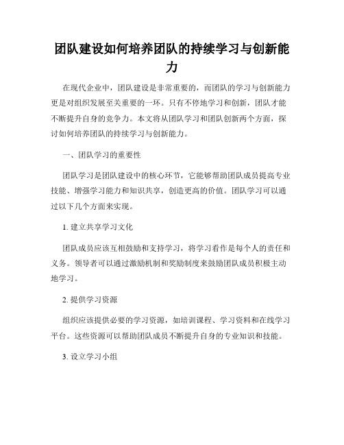 团队建设如何培养团队的持续学习与创新能力