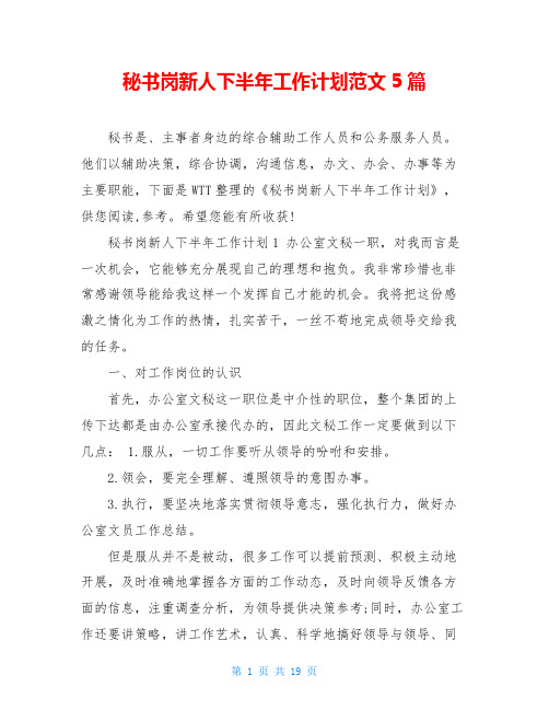 秘书岗新人下半年工作计划范文5篇