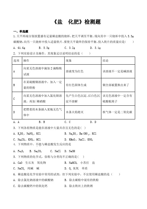 【新】人教版初中化学九年级下册第十一单元《盐  化肥》检测题(含答案)