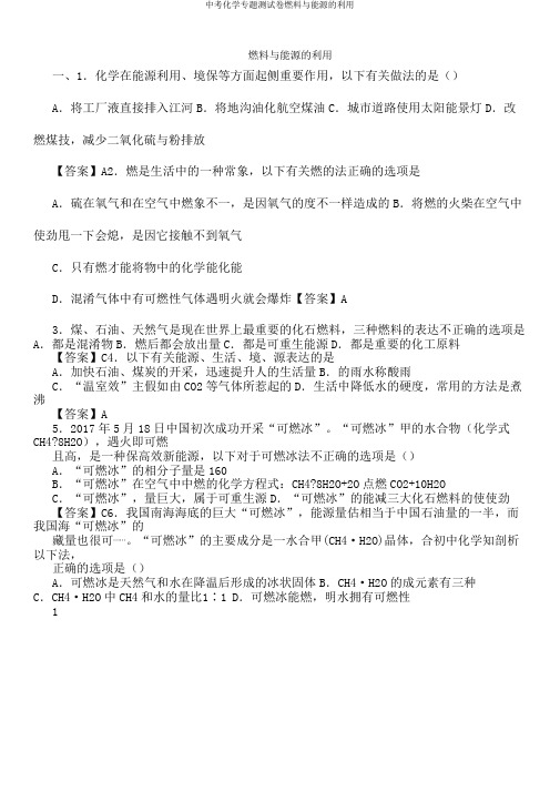 中考化学专题测试卷燃料与能源利用