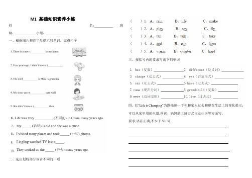 小学英语外研版五下期末复习综合复习练习(基础+提升)M1