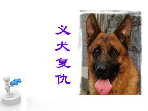 北京版语文五下《义犬复仇》优质公开课课件