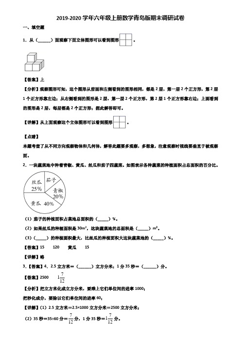 2019-2020学年六年级上册数学青岛版期末调研试卷含解析