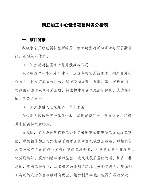 钢筋加工中心设备项目财务分析表