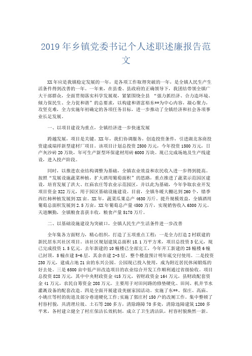 总结报告-2019年乡镇党委书记个人述职述廉报告范文 精品001