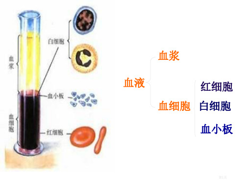 七年级生物下册输血与血型公开课一等奖优质课大赛微课获奖课件