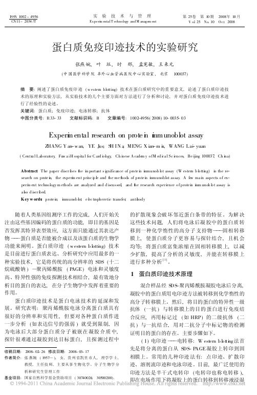 蛋白质免疫印迹技术的实验研究_张燕婉(1)