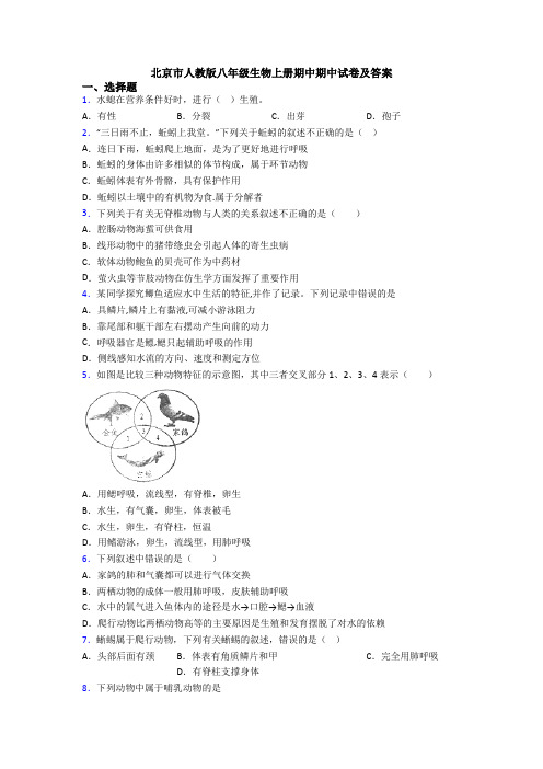 北京市人教版八年级生物上册期中期中试卷及答案