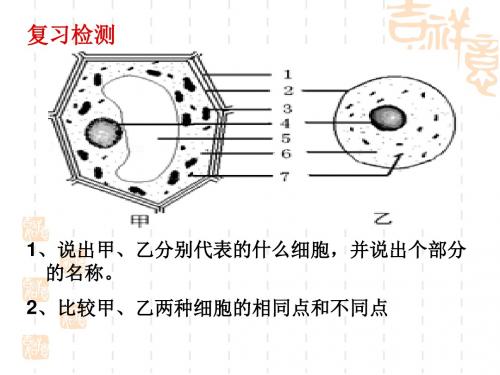 六年级上册第二单元第二章第一节细胞的生活