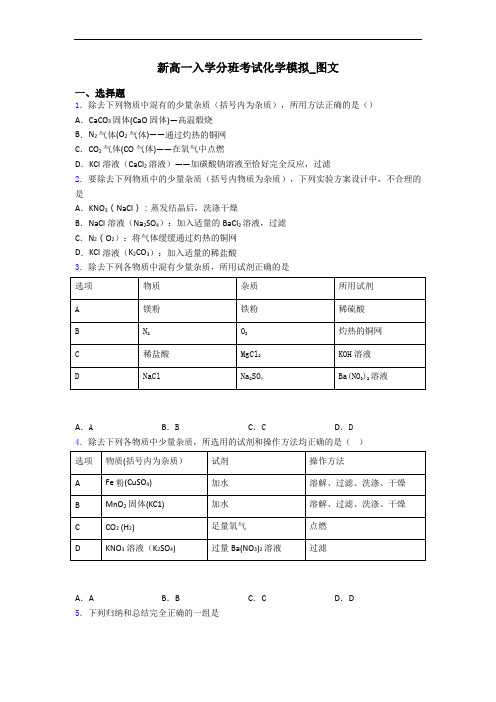 新高一入学分班考试化学模拟_图文