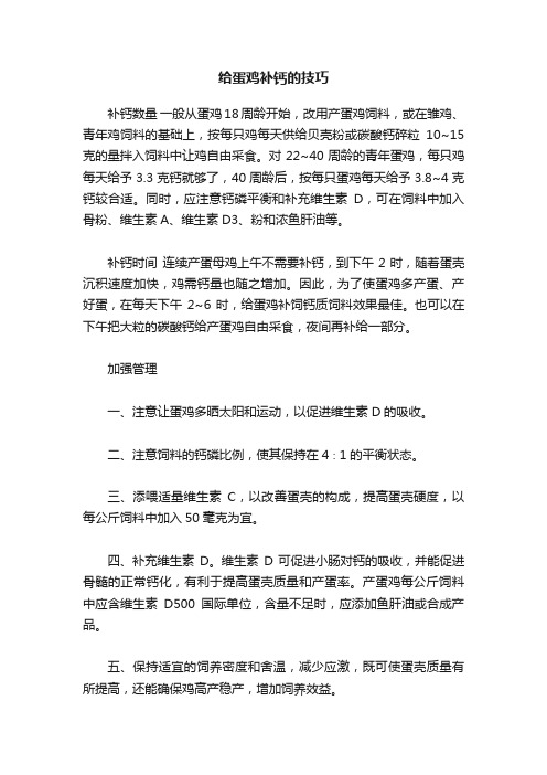 给蛋鸡补钙的技巧