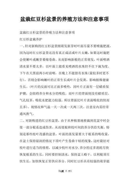 盆栽红豆杉盆景的养殖方法和注意事项