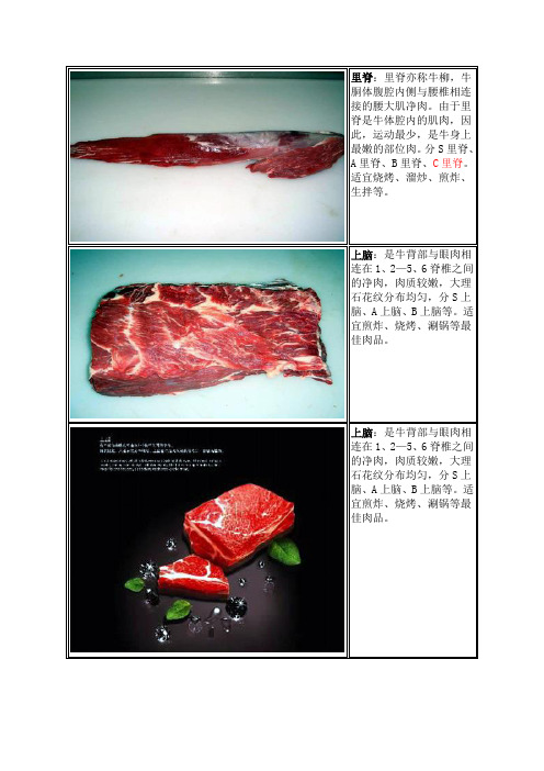 牛肉详解