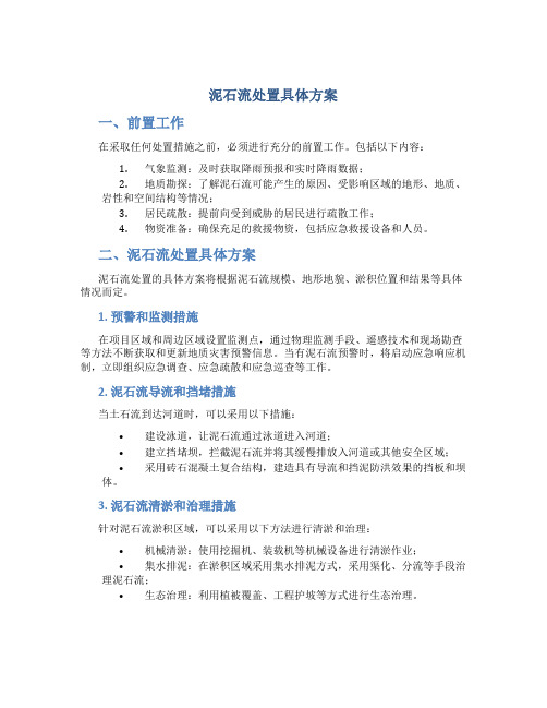 泥石流处置具体方案