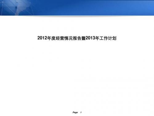 某药业有限公司年度经营情况报告(PPT31张)